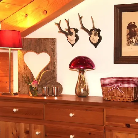 Casa Claudia - Schoene 4-sterne-fewo - Im Sommer Bergbahntickets Inclusive Apartment Oberstdorf