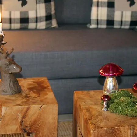 Apartment Casa Claudia - Schoene 4-sterne-fewo - Im Sommer Bergbahntickets Inclusive Oberstdorf